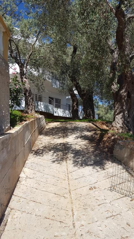 Apartments Sirena Ulcinj Buitenkant foto